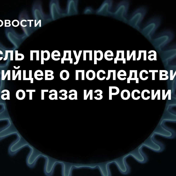 Кнайсль предупредила австрийцев о последствиях отказа от газа из России