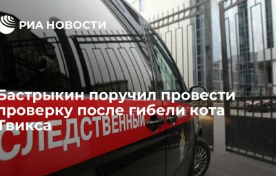 Бастрыкин поручил провести проверку после гибели кота Твикса