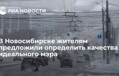 В Новосибирске жителям предложили определить качества идеального мэра