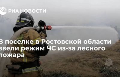 В поселке в Ростовской области ввели режим ЧС из-за лесного пожара