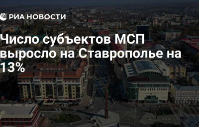 Число субъектов МСП выросло на Ставрополье на 13%