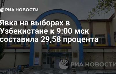 Явка на выборах в Узбекистане к 9:00 мск составила 29,58 процента