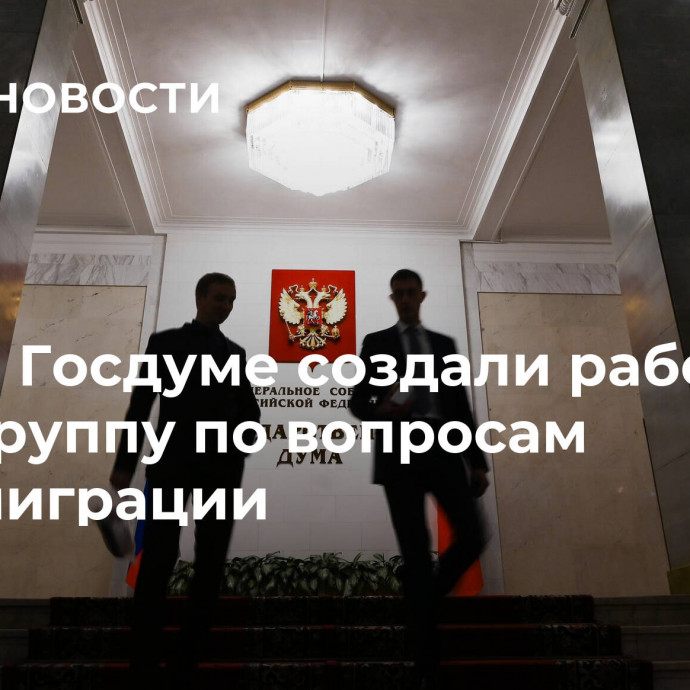 В Госдуме создали рабочую группу по вопросам миграции