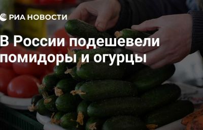 В России подешевели помидоры и огурцы