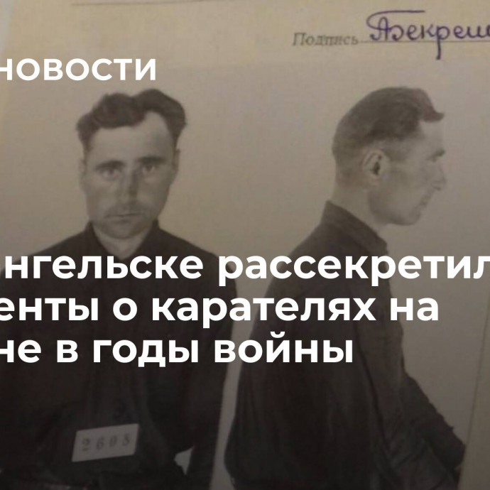 В Архангельске рассекретили документы о карателях на Украине в годы войны