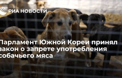 Парламент Южной Кореи принял закон о запрете употребления собачьего мяса