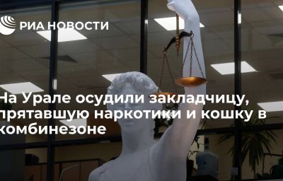 На Урале осудили закладчицу, прятавшую наркотики и кошку в комбинезоне