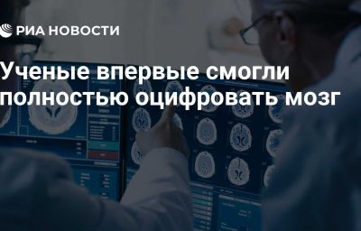 Ученые впервые смогли полностью оцифровать мозг