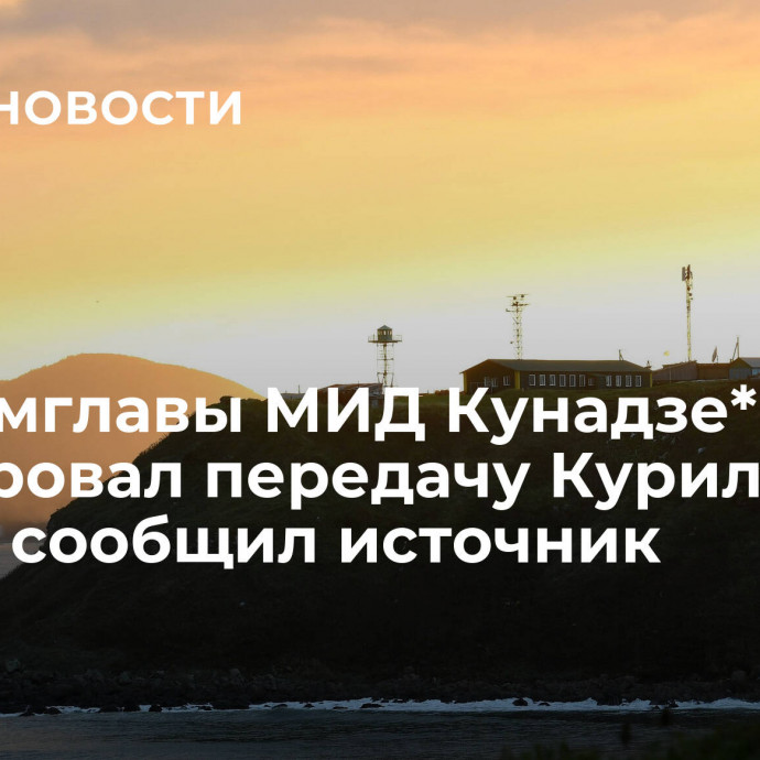 Экс-замглавы МИД Кунадзе* лоббировал передачу Курил Токио, сообщил источник