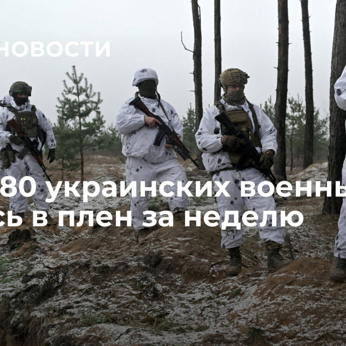 Более 80 украинских военных сдались в плен за неделю