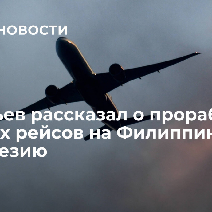 Савельев рассказал о проработке прямых рейсов на Филиппины и в Индонезию