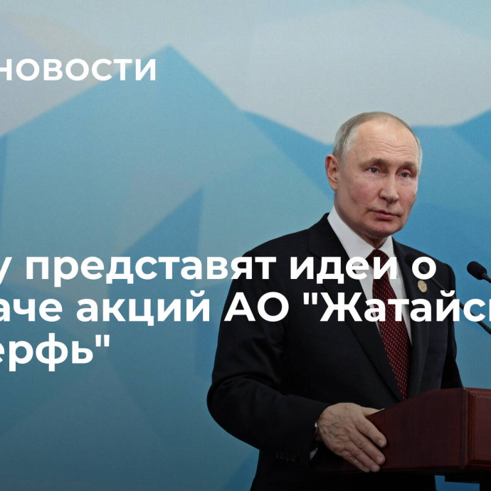 Путину представят идеи о передаче акций АО 