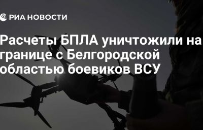 Расчеты БПЛА уничтожили на границе с Белгородской областью боевиков ВСУ
