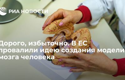 Дорого, избыточно. В ЕС провалили идею создания модели мозга человека