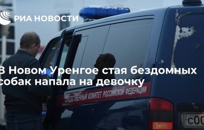 В Новом Уренгое стая бездомных собак напала на девочку