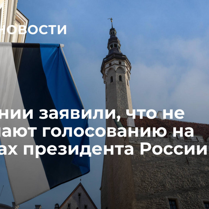 В Эстонии заявили, что не помешают голосованию на выборах президента России