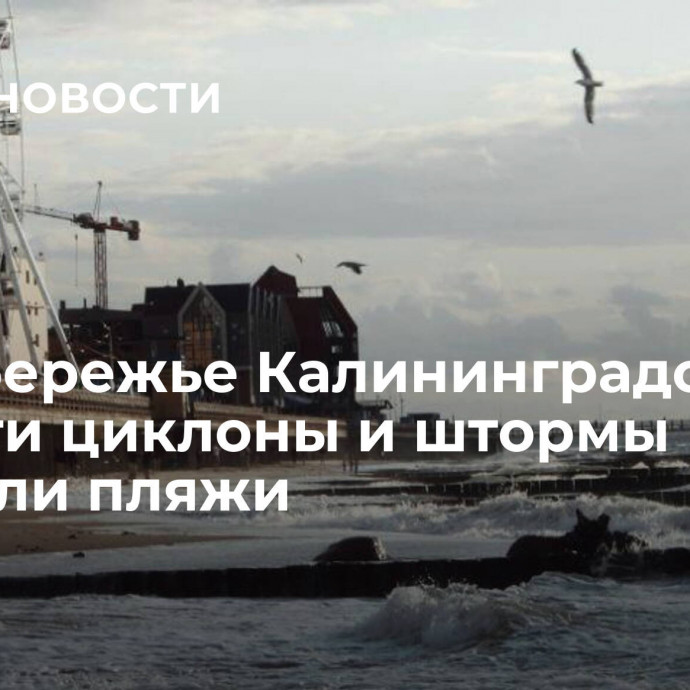 На побережье Калининградской области циклоны и штормы размыли пляжи