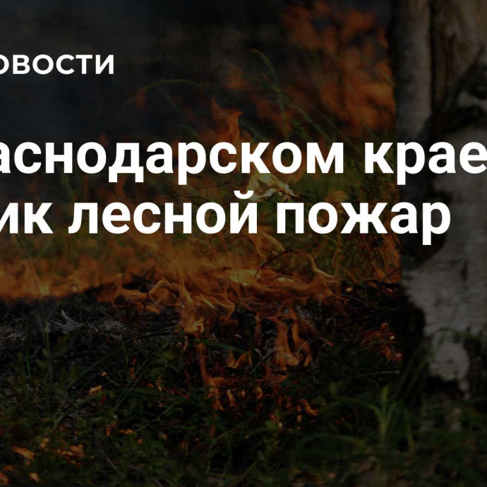 В Краснодарском крае возник лесной пожар