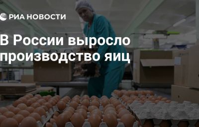 В России выросло производство яиц