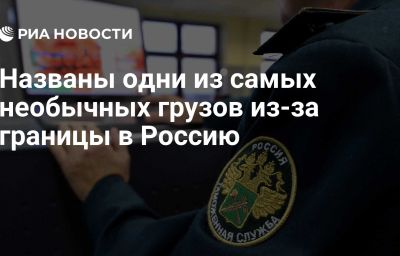 Названы одни из самых необычных грузов из-за границы в Россию