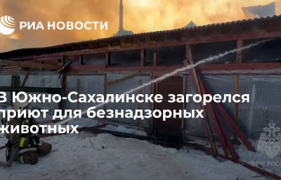 В Южно-Сахалинске загорелся приют для безнадзорных животных