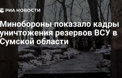 Минобороны показало кадры уничтожения резервов ВСУ в Сумской области