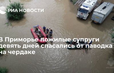 В Приморье пожилые супруги девять дней спасались от паводка на чердаке