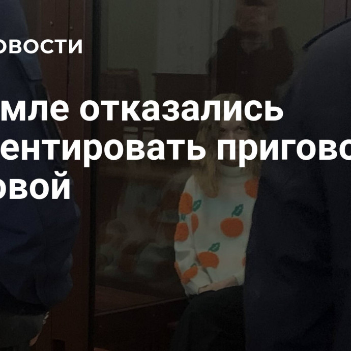 В Кремле отказались комментировать приговор Треповой