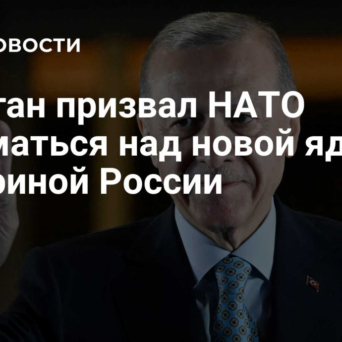 Эрдоган призвал НАТО задуматься над новой ядерной доктриной России