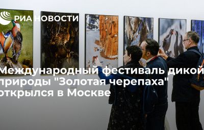 Международный фестиваль дикой природы "Золотая черепаха" открылся в Москве