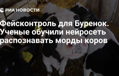 Фейсконтроль для Буренок. Ученые обучили нейросеть распознавать морды коров