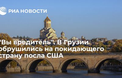 "Вы вредитель". В Грузии обрушились на покидающего страну посла США