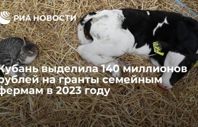 Кубань выделила 140 миллионов рублей на гранты семейным фермам в 2023 году