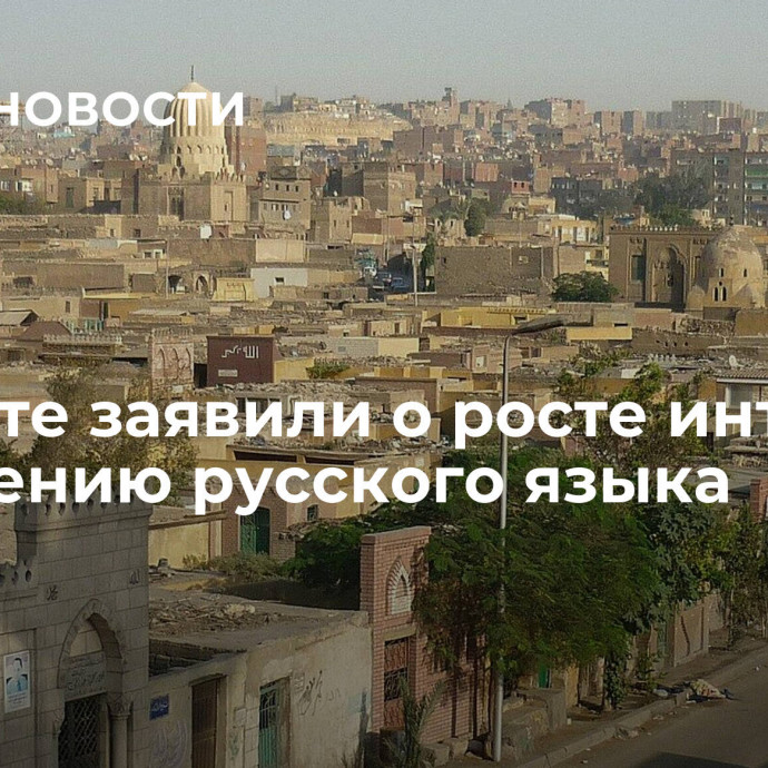 В Египте заявили о росте интереса к изучению русского языка