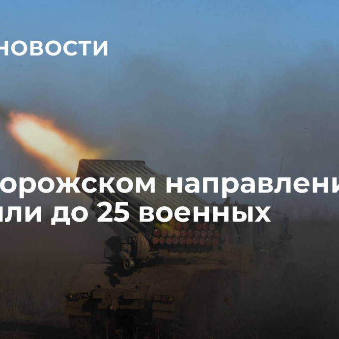 На Запорожском направлении ВСУ потеряли до 25 военных