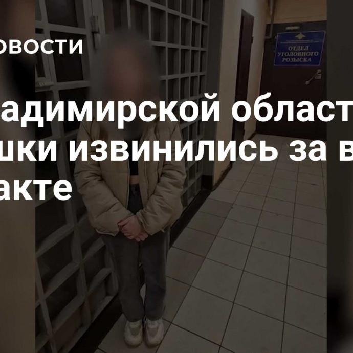 Во Владимирской области девушки извинились за видео о теракте