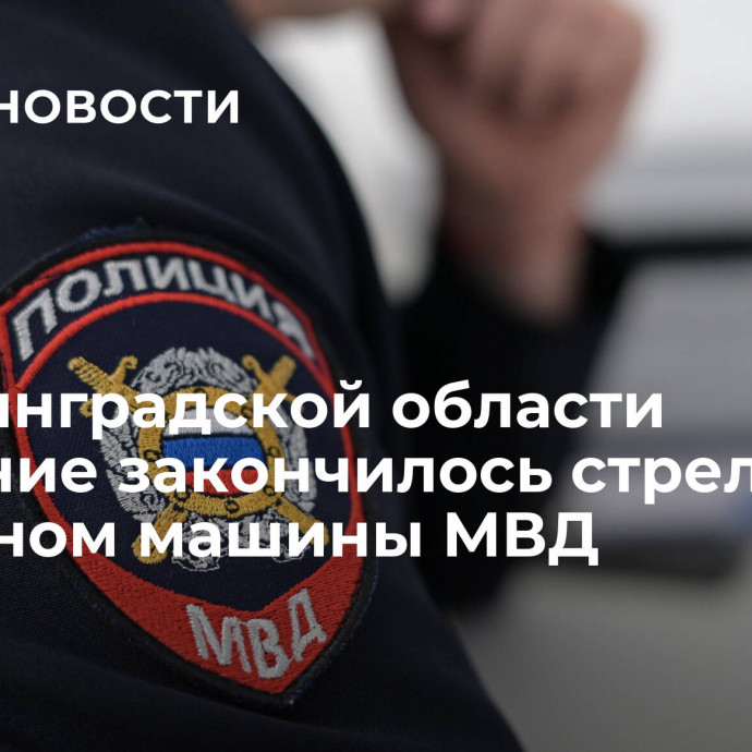 В Ленинградской области свидание закончилось стрельбой и тараном машины МВД