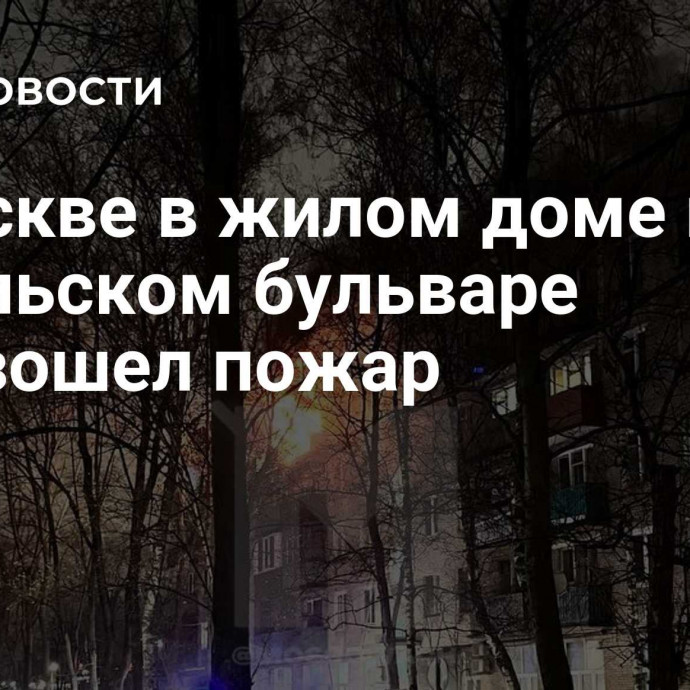 В Москве в жилом доме на Карельском бульваре произошел пожар