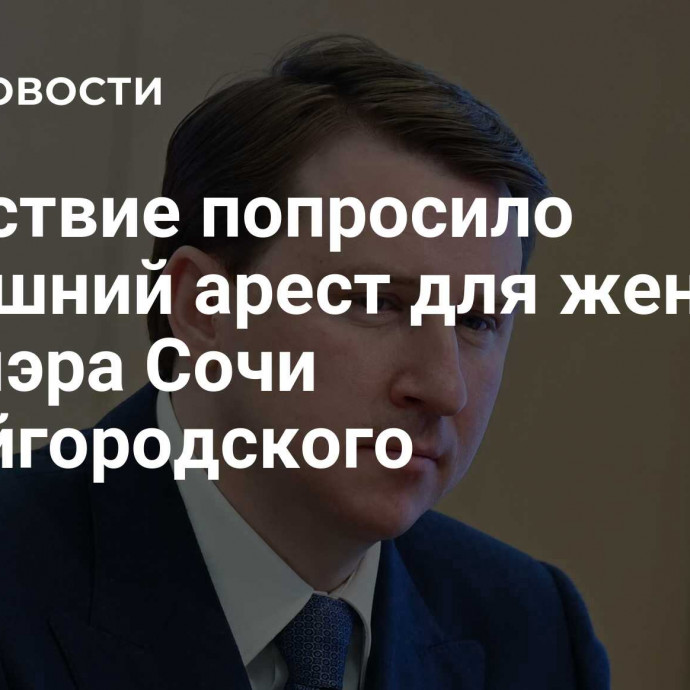 Следствие попросило домашний арест для жены экс-мэра Сочи Копайгородского