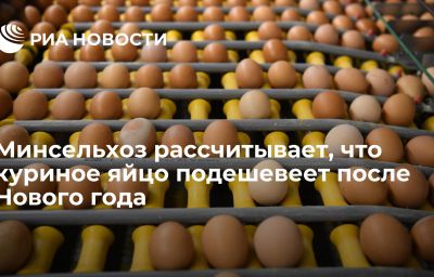 Минсельхоз рассчитывает, что куриное яйцо подешевеет после Нового года