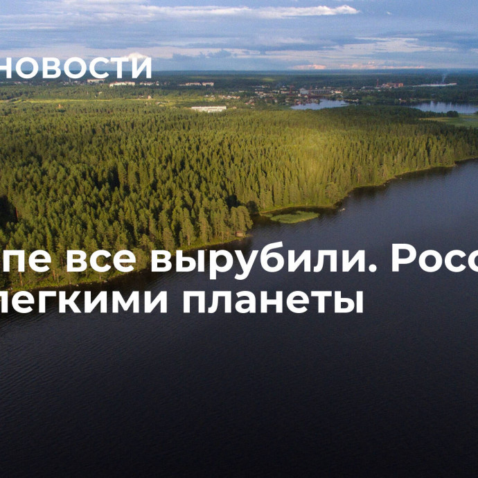 В Европе все вырубили. Россия стала легкими планеты