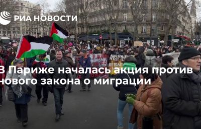 В Париже началась акция против нового закона о миграции