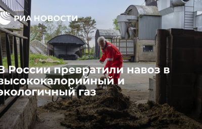 В России превратили навоз в высококалорийный и экологичный газ