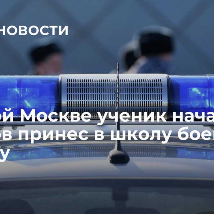 В Новой Москве ученик начальных классов принес в школу боевую гранату