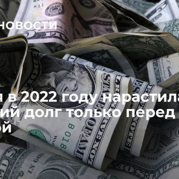 Россия в 2022 году нарастила внешний долг только перед одной страной