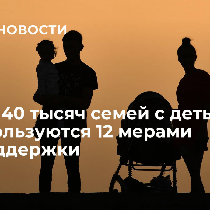 Около 40 тысяч семей с детьми в КЧР пользуются 12 мерами соцподдержки