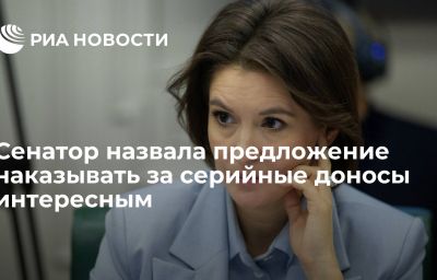 Сенатор назвала предложение наказывать за серийные доносы интересным