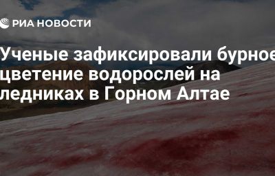 Ученые зафиксировали бурное цветение водорослей на ледниках в Горном Алтае