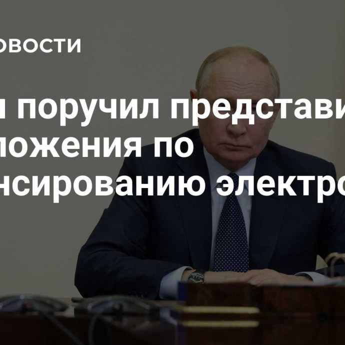 Путин поручил представить предложения по финансированию электросетей