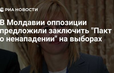 В Молдавии оппозиции предложили заключить "Пакт о ненападении" на выборах